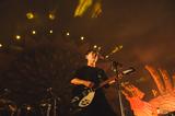画像5: 灼熱の美らSUNビーチで15,000人が音楽に酔いしれる…