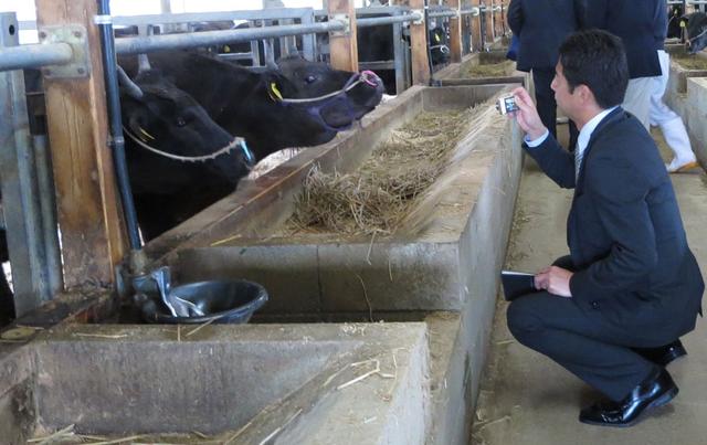 画像: いずれも料理長自ら生産農場へ足を運び、その目で生育状況を確認済み!生産者の方から直接伺った熱い想いも込めながら調理されます。