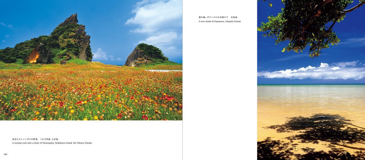 画像: （左）奇岩とテンニンギクの群落　トカラ列島 小宝島／(右）夏の海、ガジュマルの木陰にて　石垣島