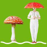 画像: ベニテングタケは毒キノコの一種でヨーロッパでは幸福のシンボルとされています。雨の日も晴れの日も、差せばキノコになれて、まるで童話の中にいるよう!