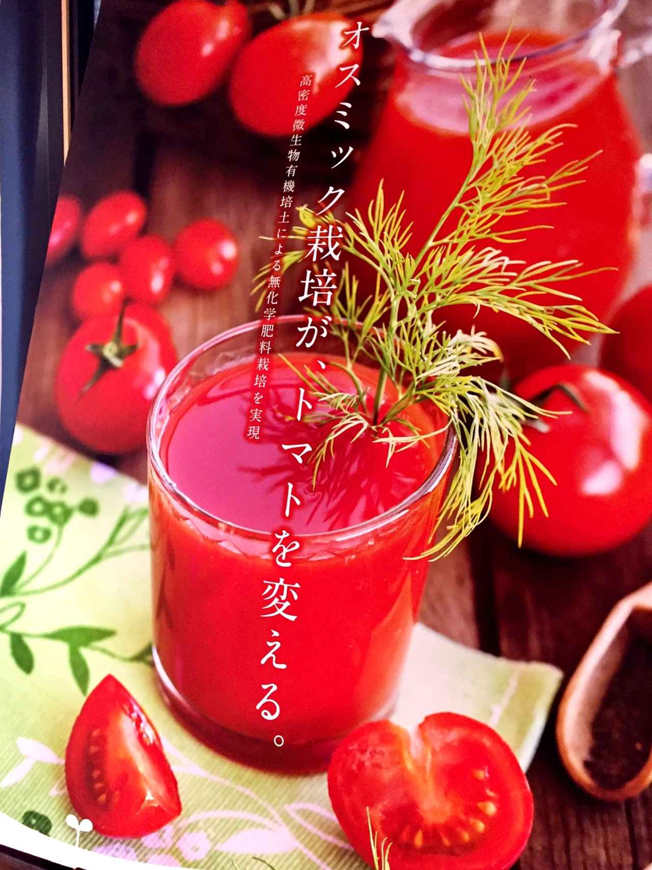 画像: 【試食レポ】もはやスイーツ!高糖度フルーツトマト「オスミックトマト」の美味しさを実感してきました☆