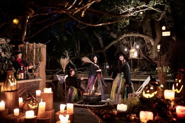 画像1: 魔女のハロウィンナイトとは