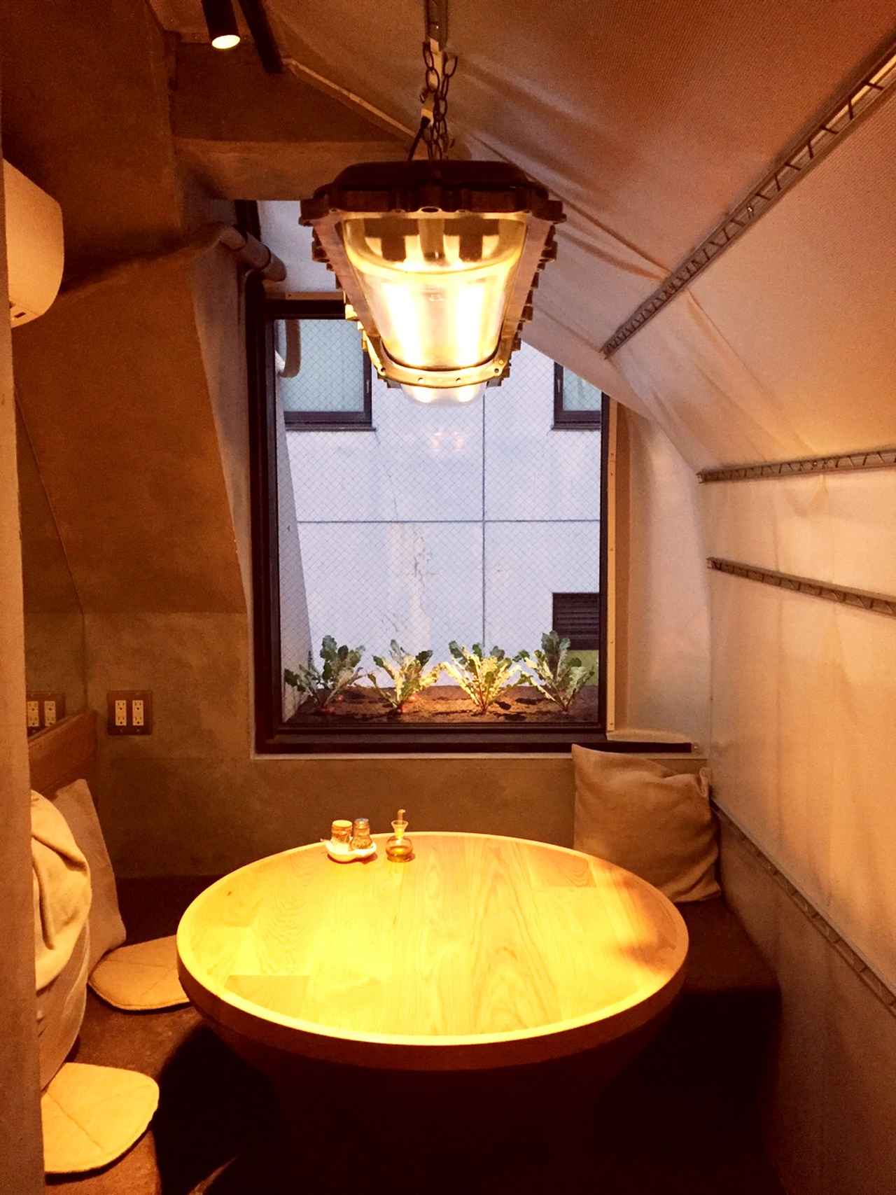 画像1: お店自体が「野菜畑」?!!