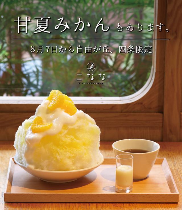画像: "ふんわりとろ~り"かき氷!甘夏みかんを使った限定かき氷が登場!