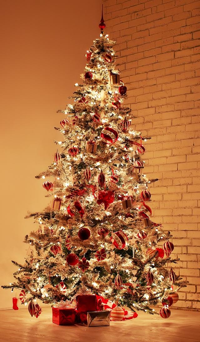 画像4: 1日1室限定のクリスマスコーディネートルームも登場!
