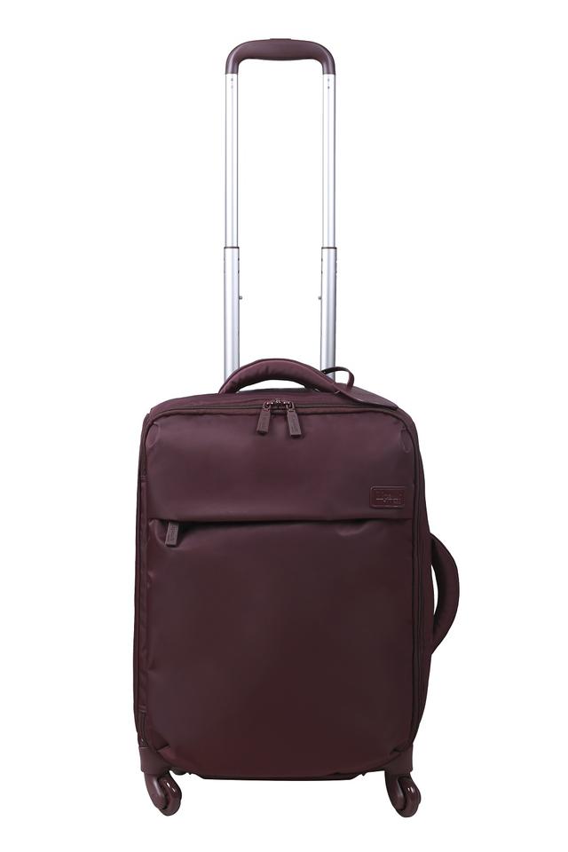 画像2: SPINNER 55(H55×W37×D23cm) ¥25,000+tax