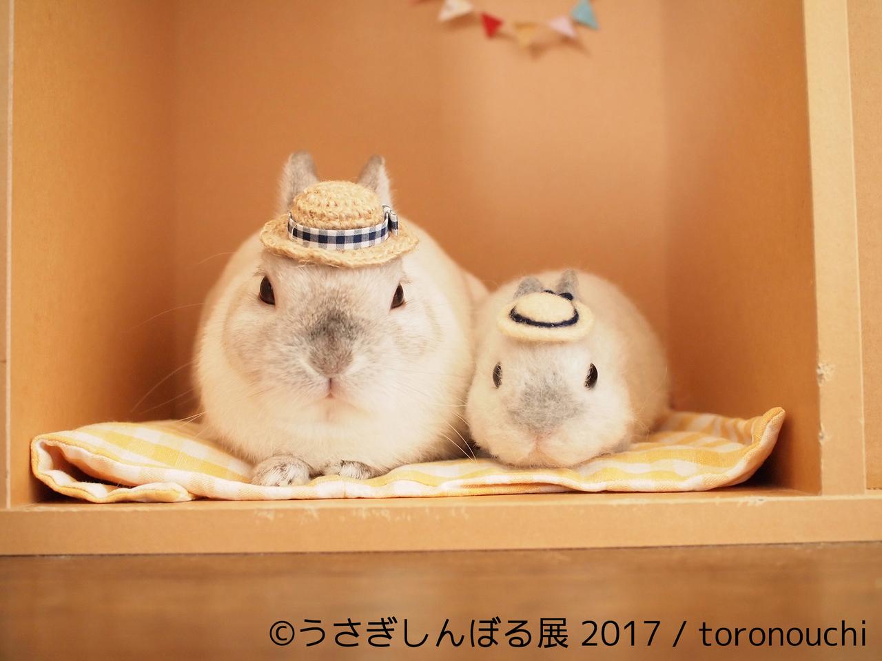 画像3: 「うさぎしんぼる展 2017」インスタ界“神うさぎ”などモフ&モキュ作品300点展示!