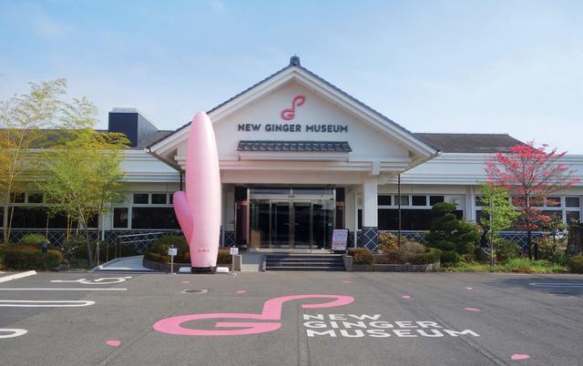画像5: 「岩下の新生姜」で寒い季節をぽかぽかに!