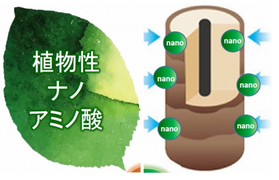 画像: １.植物由来原料を使用した地球にやさしいエコ容器