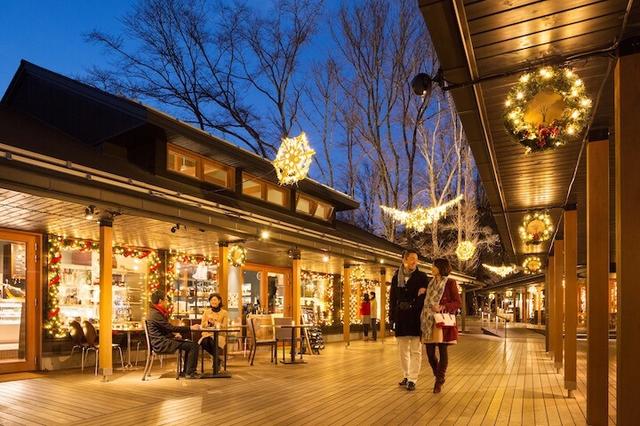 画像: やさしくあたたかな光 クリスマスイルミネーション