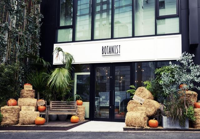 画像1: 店内外も一気にハロウィン仕様!