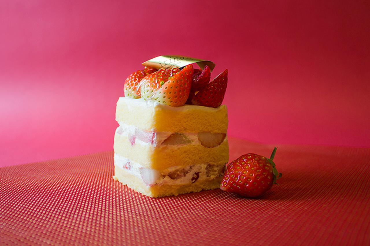 画像: 「苺のショートケーキ」 ケーキの王道をイリナ流で表現。たっぷりと贅沢に使った苺。 口の中でほどけるように消えていく生地と、甘酸っぱい苺の協奏をお楽しみください。