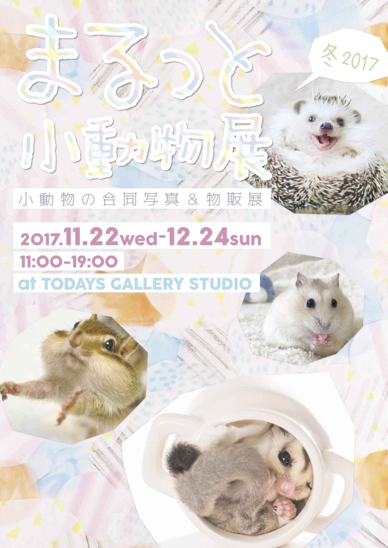 画像: まるっと小動物展 冬 2017 | 台東区浅草橋のギャラリー「TODAYS GALLERY STUDIO」