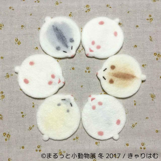 画像11: 「まるっと小動物展」見どころ
