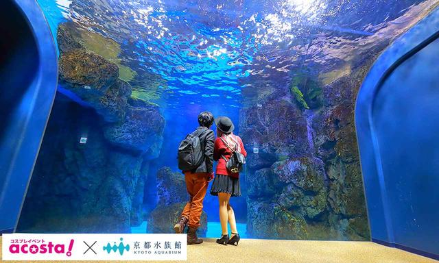 画像3: 今年のクリスマスイヴは京都水族館のコスプレ撮影で決まり!