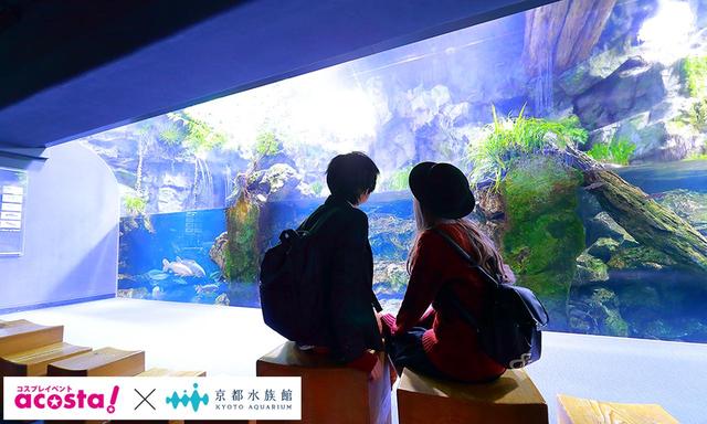 画像4: 今年のクリスマスイヴは京都水族館のコスプレ撮影で決まり!