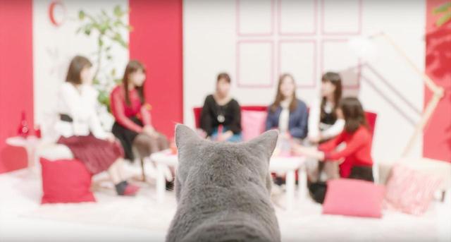 画像5: 白石麻衣が大胆告白!?恋の相手は誰?