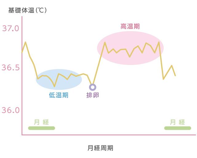 画像: ■妊娠をのぞむなら・・知っておきたい2つのこと