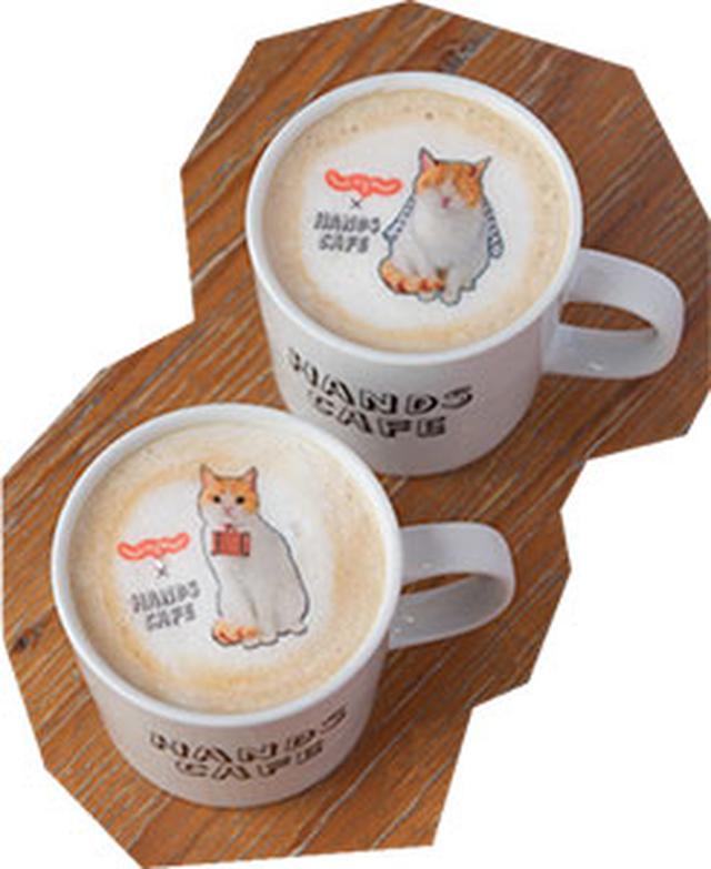 画像: にゃらんホットカフェオレ 650円 にゃらんがかわいく浮かぶカフェオレ。2種類の柄はランダムで提供。