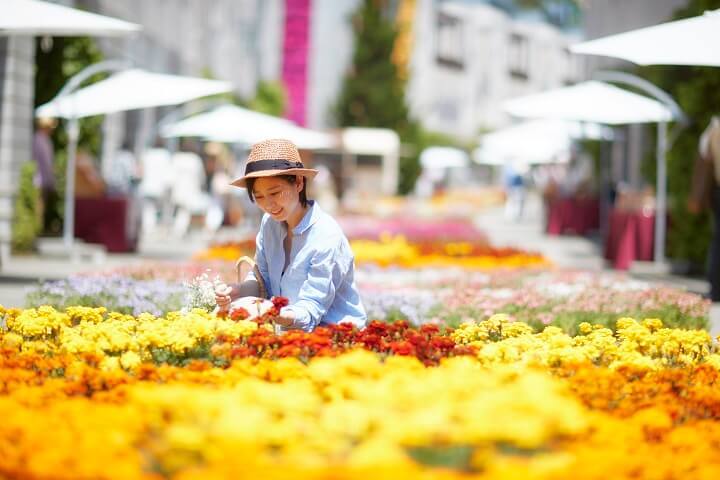 画像: 1　12,000個の花苗で作る「花畳の回廊」