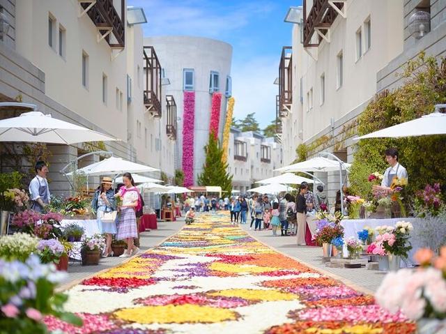 画像: 1 チューリップの花びらを敷き詰めた「花畳の回廊」