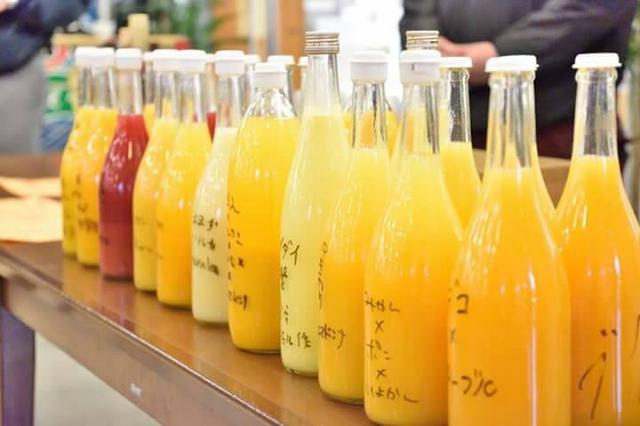 画像: みかん好き集まれ!「みかんカフェ」開催