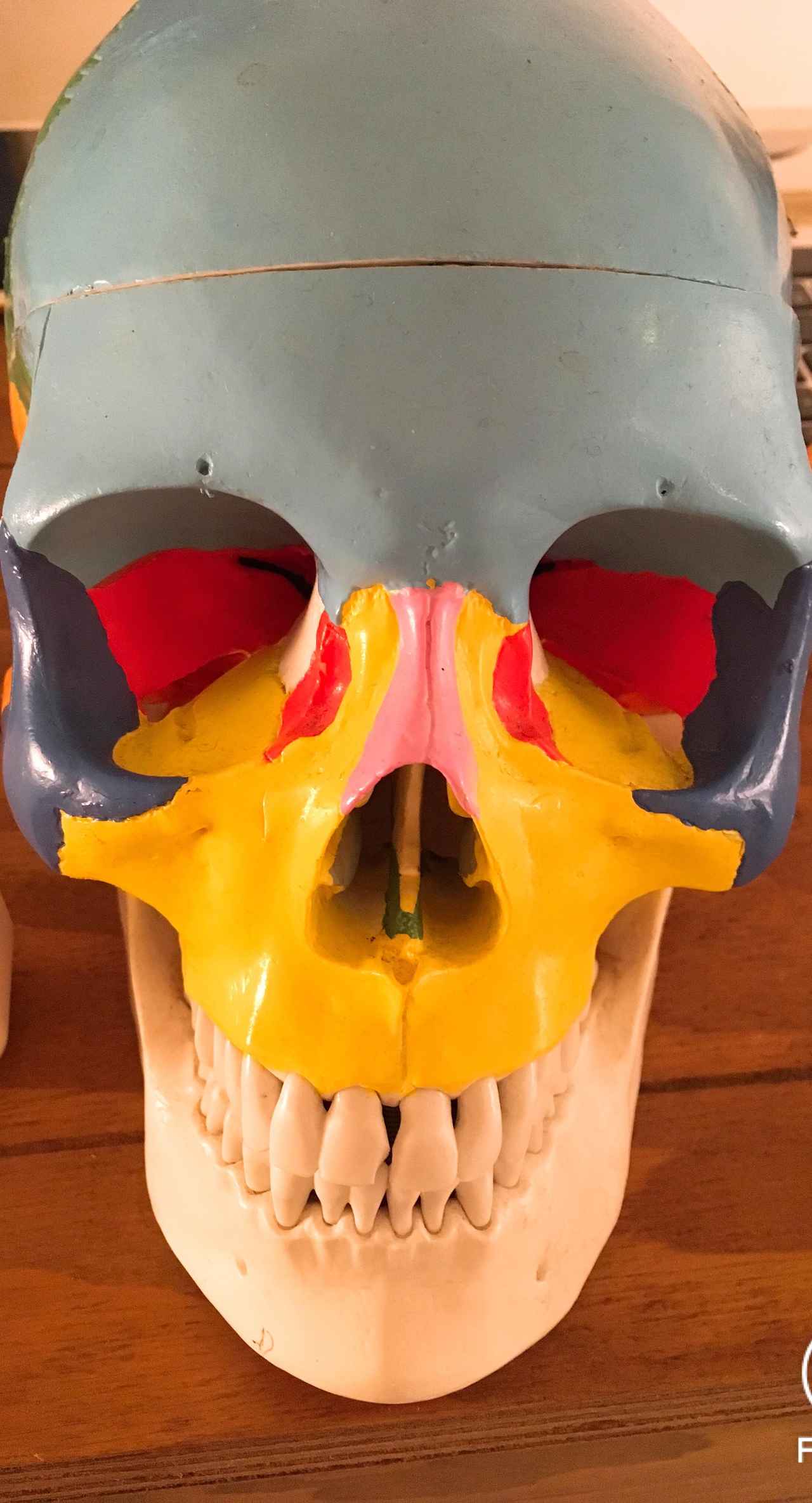 画像2: 【体験レポ】小顔になりたいなら、頭蓋骨から！大人気『グレースフィオーレ』の小顔矯正を体験してきました！