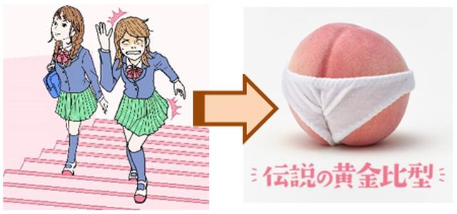 画像: ■階段を上る時 伝説の黄金比型 左右均等の美しい黄金比。ひざを90度に曲げて、階段を上った時によく食らう。