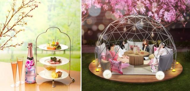 画像: 「桜スパークリングセット」(写真左) 自家製のスモークサーモンコンフィー、パテ・ド・カンパーニュ、スパークリングワイン風味のポテトチップスなど、おすすめのメニューが並びます。(シャンドンロゼボトル1本付き) 「CHANDON SUITE」(写真右) ドーム型エリア「CHANDON SUITE」が初登場します。「桜スパークリングセット」ご注文のお客様のみ、先着順でご案内します。※設置日は後日東京ミッドタウンホームページでお知らせします。