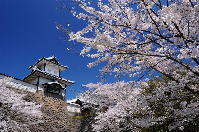 画像: 桜満開の金沢へ1日1便 無料送迎を開始