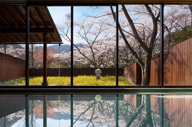 画像2: 満開の桜を愛でる花見露天