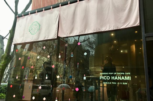 画像1: 「PICO HANAMI」カフェが素敵すぎる!