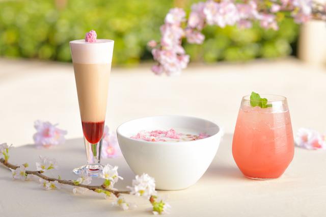 画像: オープンテラスで春を感じる「SAKURA FAIR」開催