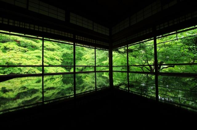 画像2: 行列必至の人気寺院「瑠璃光院」初の青もみじ貸切ライトアップ!