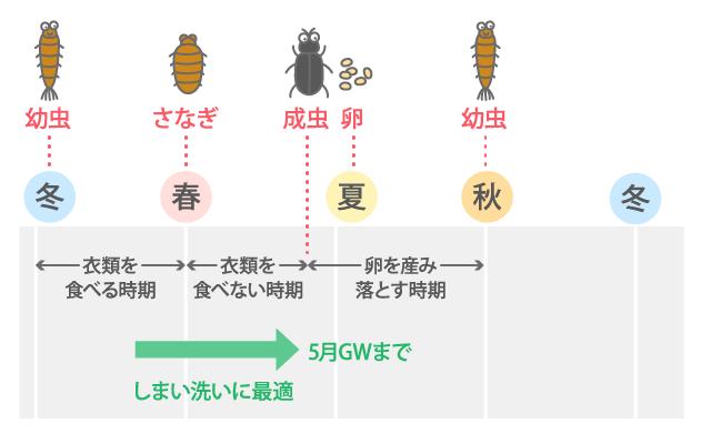 画像: ◆そもそも「虫食い」はなぜ起こる?