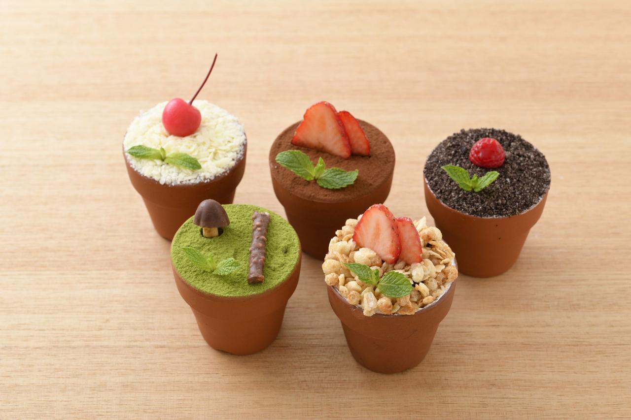 画像: SNSで話題沸騰の植木鉢スイーツ「フラワーポット」