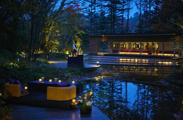 画像: 森のほとりcafé&barに登場する、2席だけの特別席
