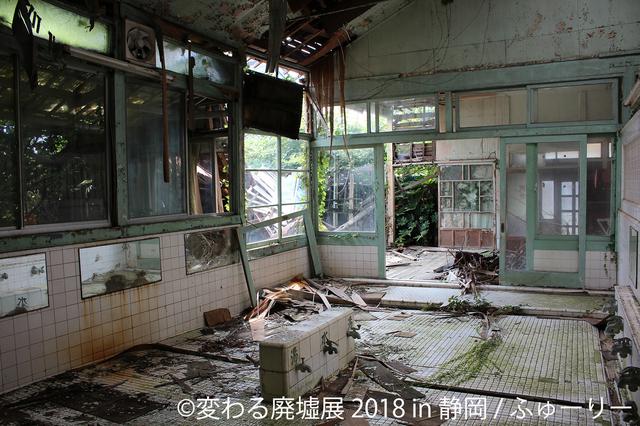 画像2: 朽ち果ててく美しさ…最新作&初の動画作品も!