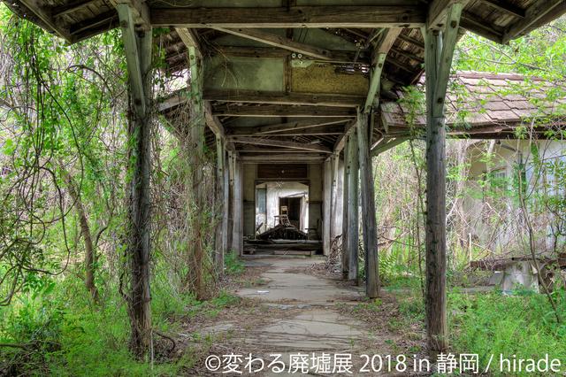 画像5: 朽ち果ててく美しさ…最新作&初の動画作品も!