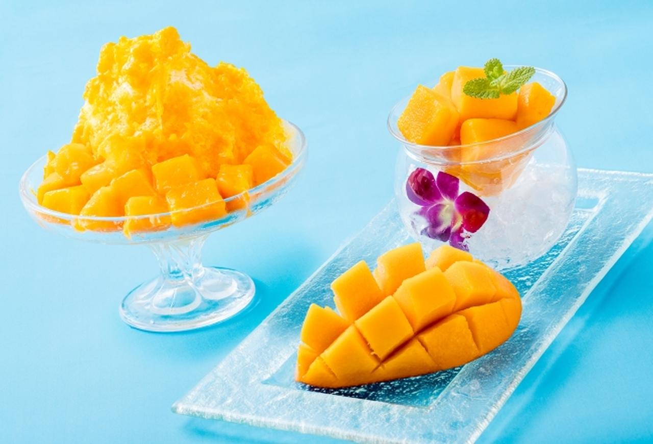 画像: フレッシュマンゴ ¥1,200~(マンゴの入荷により販売状況が変わります)