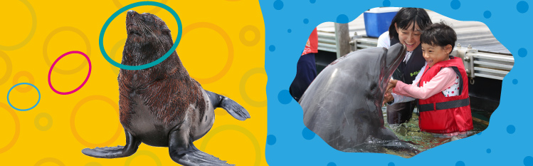 画像: 沖縄リゾートホテル|ルネッサンス リゾート オキナワ<公式>