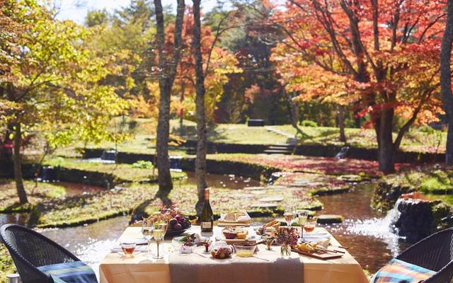 画像: 一足早い紅葉を眺められる特別席で、秋の味覚を味わう 「紅葉フルーツBBQ」開催
