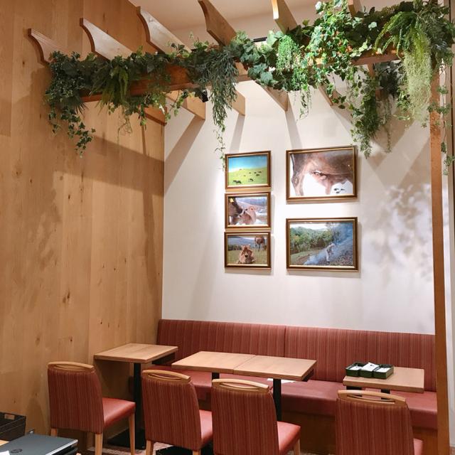画像: 壁には中洞牧場の牛の写真。