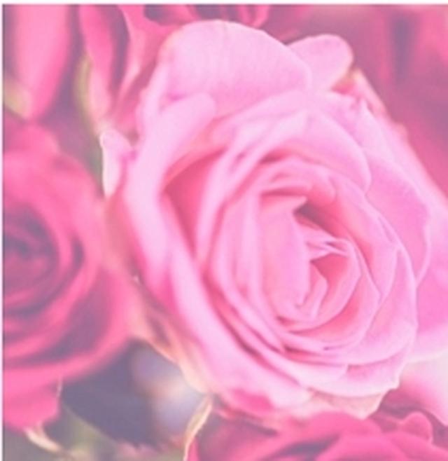 画像: French Rose 大人の色気のあるフレンチローズ。女性本来の魅力が解き放たれるような香り。 ※とてもしっとりした使用感