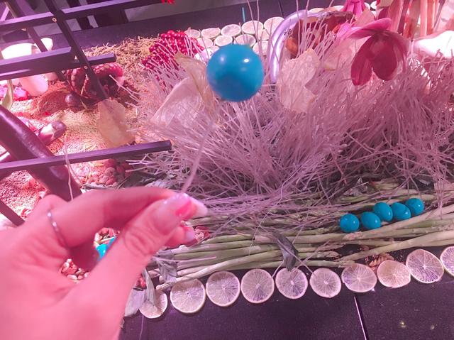 画像: 実は、この青いもの食べれるんです! 正体は、うずらの卵だそう。着色料をつかっていないので、体にも優しいですよね。