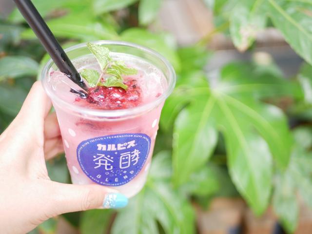 画像: カルピス®+発酵BLEND滋賀