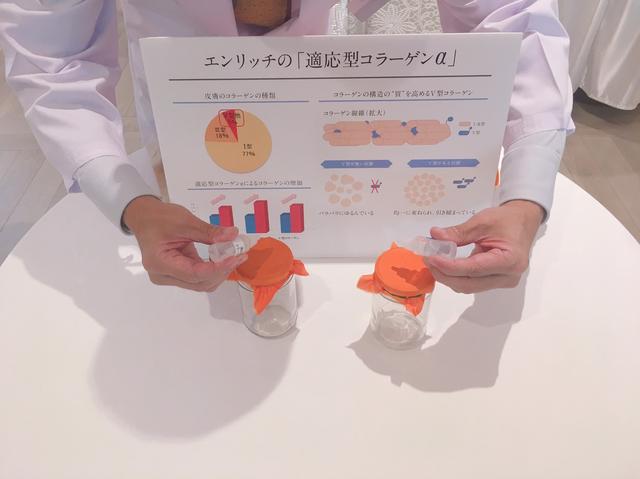 画像1: 適応型コラーゲンα(左)、一般のコラーゲン(右)