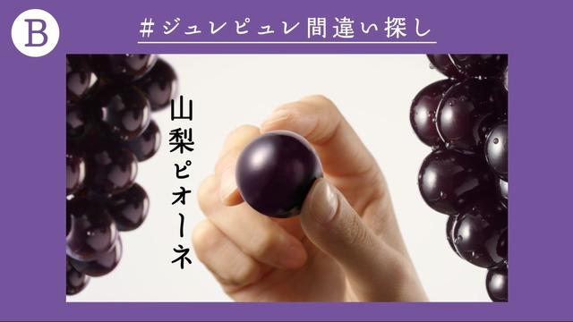 画像3: あなたはいくつわかるかな? 超難問 #ジュレピュレ間違い探し