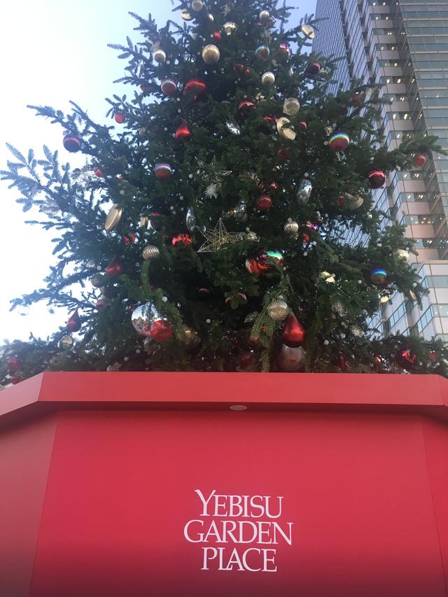 画像: 絶対見逃せない!イルミネーション・クリスマスツリー・クリスマスマルシェ