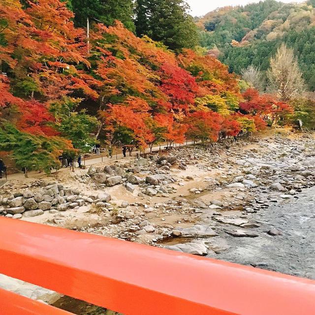 画像1: 美しすぎるライトアップは、香嵐渓で。